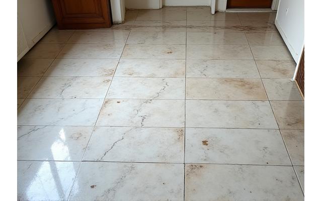 Before: Dull, stained marble floor